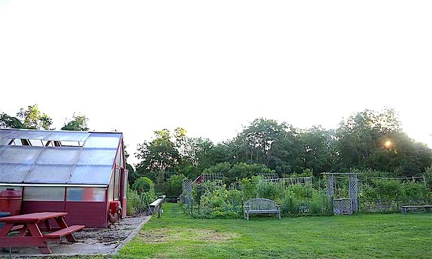 Sustainability Ideas Blossom at Wakeman