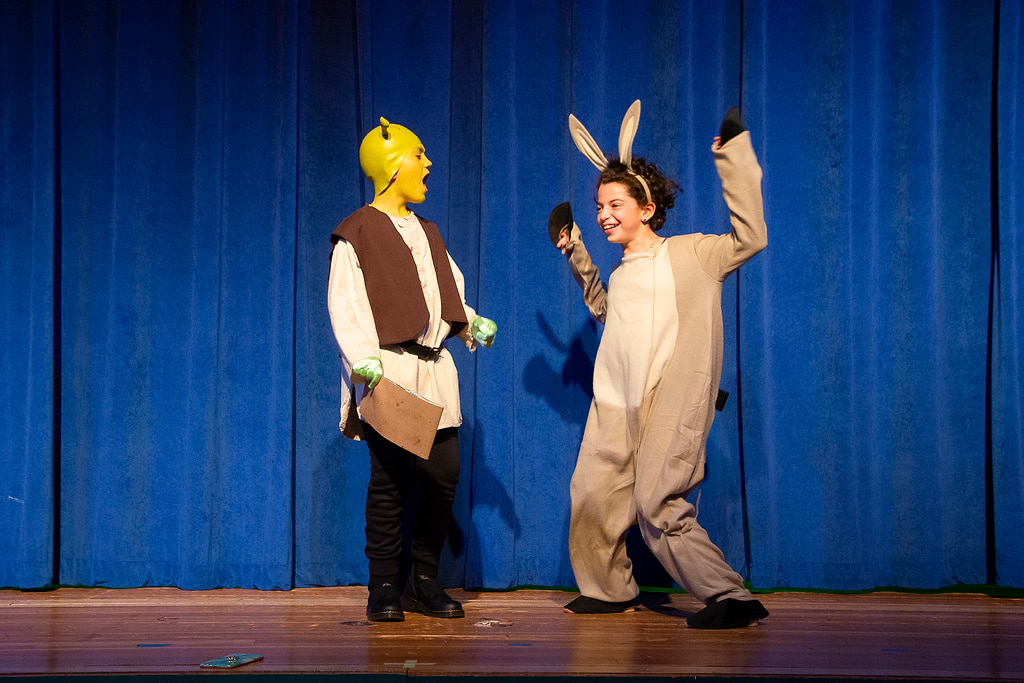 Sherwood Park man makes Shrek and Donkey snow sculpture