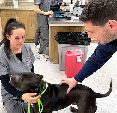 New animal-care clinic books downtown spot