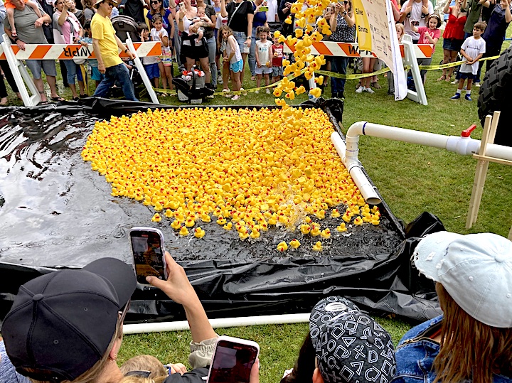 Foul weather friends flock to support ‘Great Duck Race’ Westport Journal