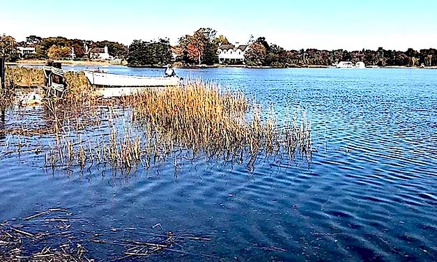 Despite complaints, crabbing is legal at Sherwood Mill Pond
