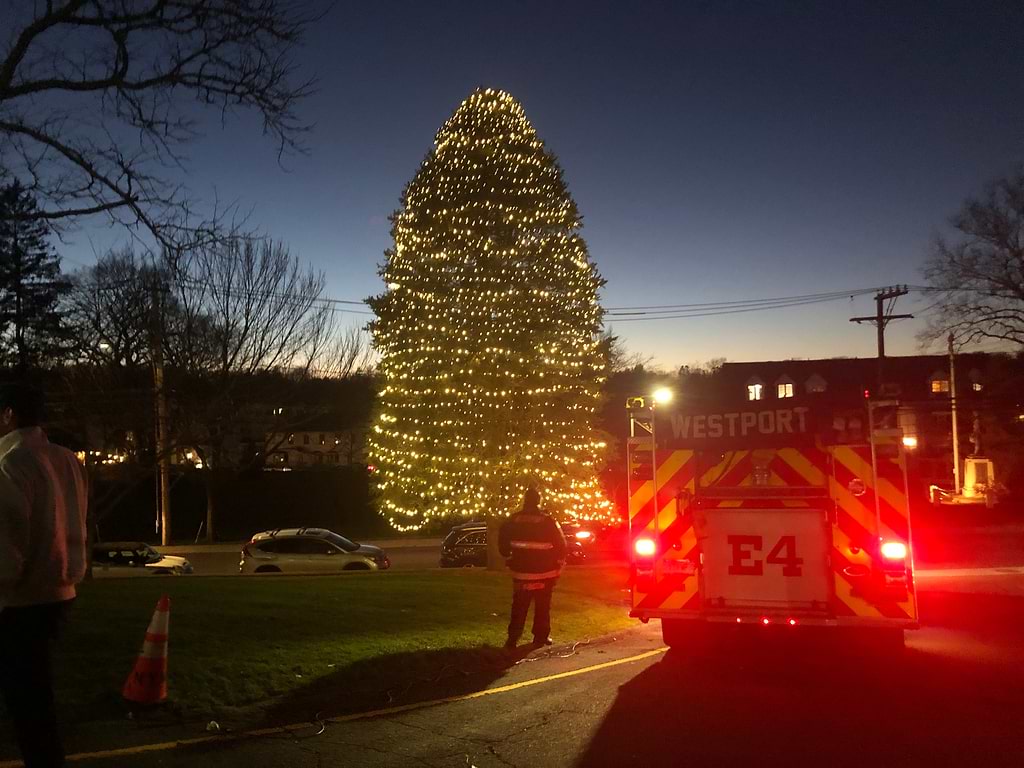 Westport's Christmas tree outside Town Hall. / Photo by Thane Grauel