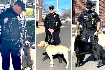 K9 Unit’s dogs have their day to support fundraiser