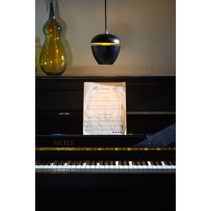 vloerlampen en een plafondlamp. Zoek op onze website op 'Claire'.