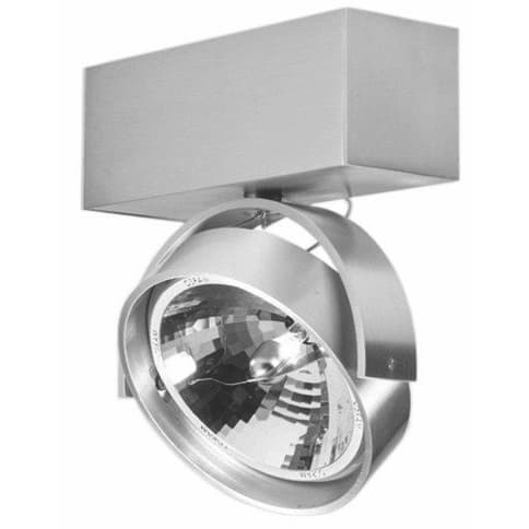 Industriële opbouwspot voor wand en plafond. Plafondspot