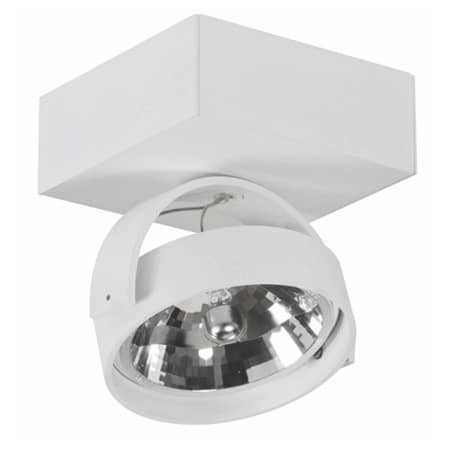 Industriële opbouwspot voor wand en plafond. Plafondspot