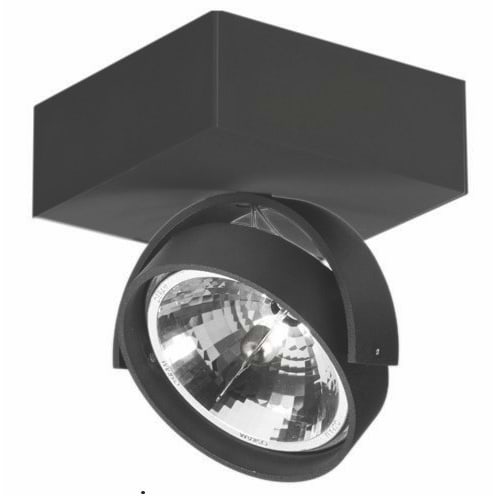 Industriële opbouwspot voor wand en plafond. Plafondspot