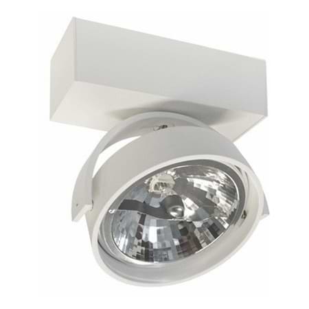 Industriële opbouwspot voor wand en plafond. Plafondspot