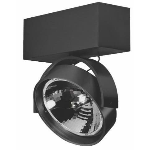 Industriële opbouwspot voor wand en plafond. Plafondspot