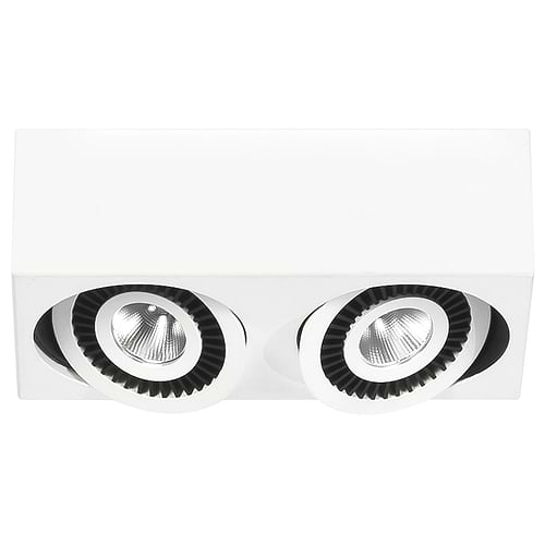 Spot Eye - plafondlamp met twee spots - 2 X 5W Rechthoek LED Mat Wit Dimbaar - Serie Eye - Spots - High Light - S742600
