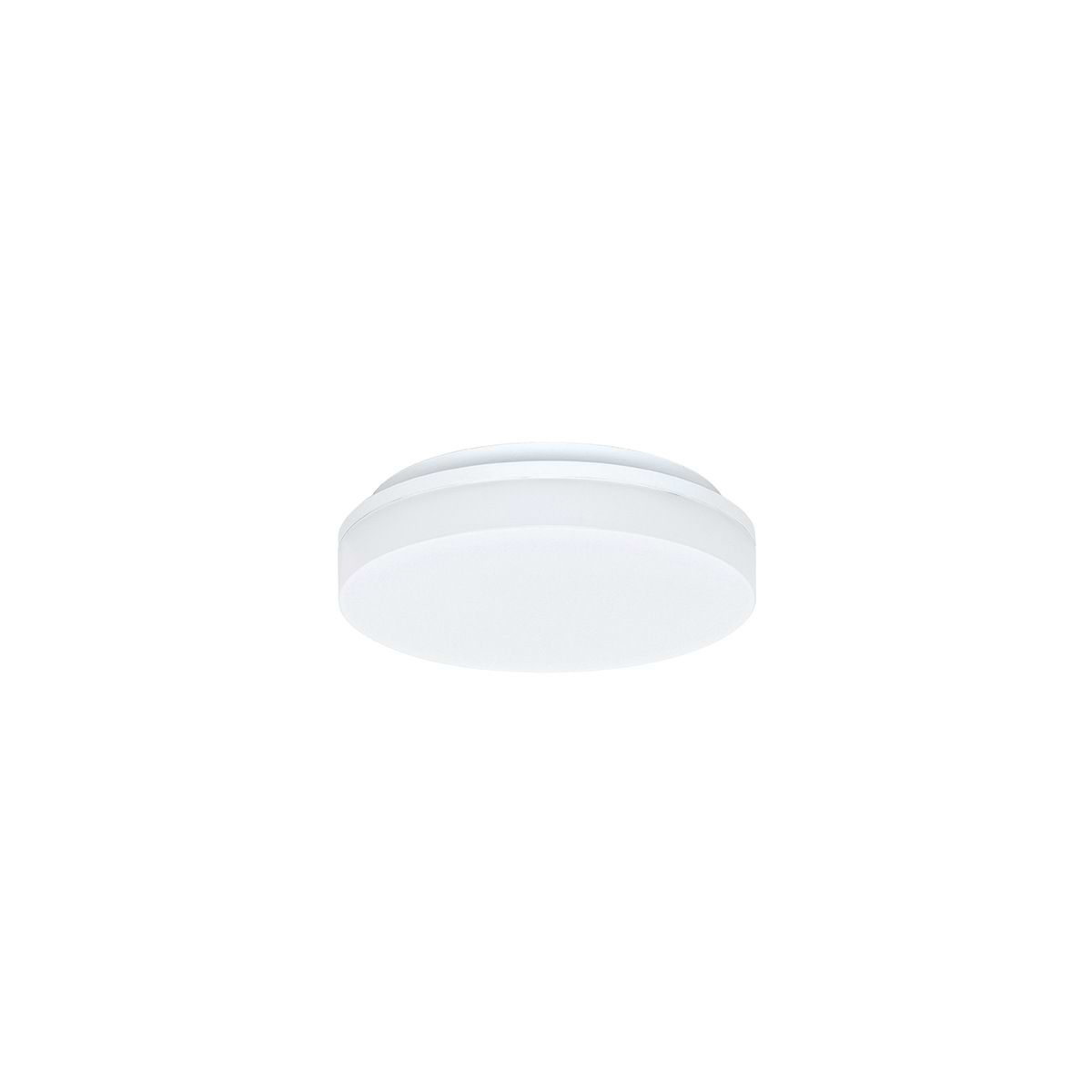 P655000 Highlight