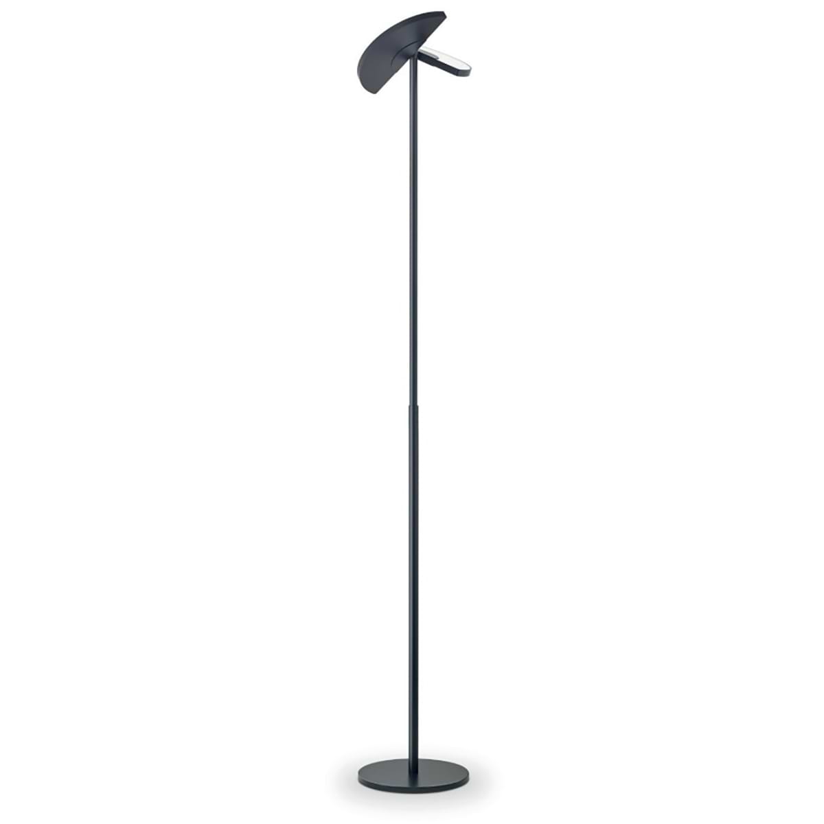 Vloerlamp TALEA. Kleur: zwart. KNAPSTEIN