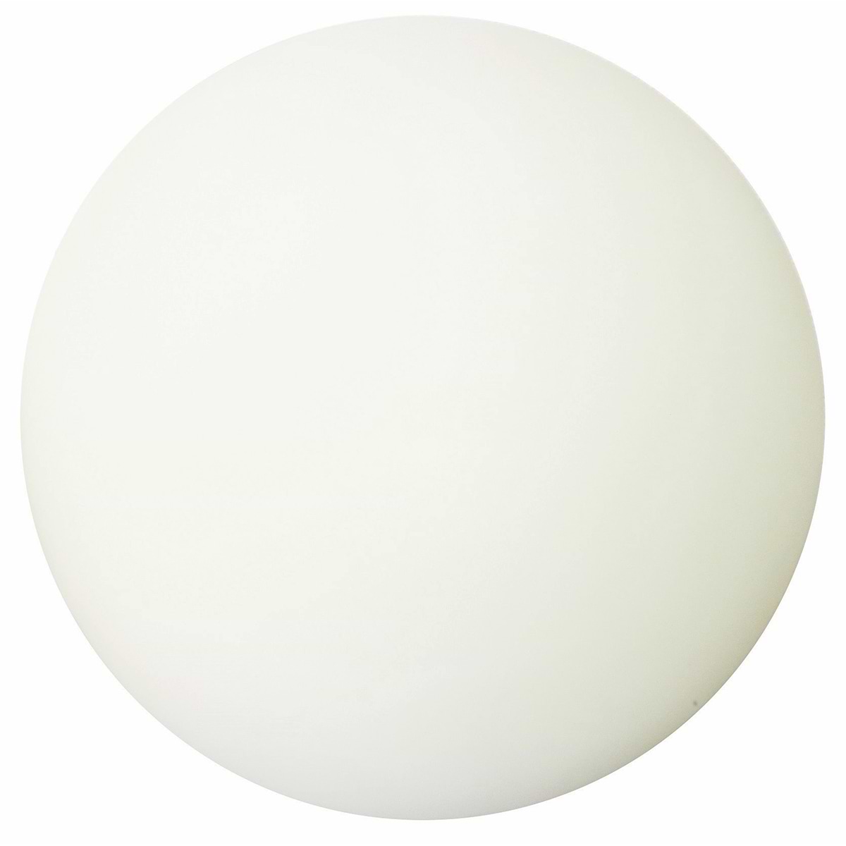 buitenlamp plafond