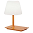 Moderne tafellamp en buitenlamp met draadloze oplader -1-lichts -oranje -Indy - ETH -Expo Trading Holland
