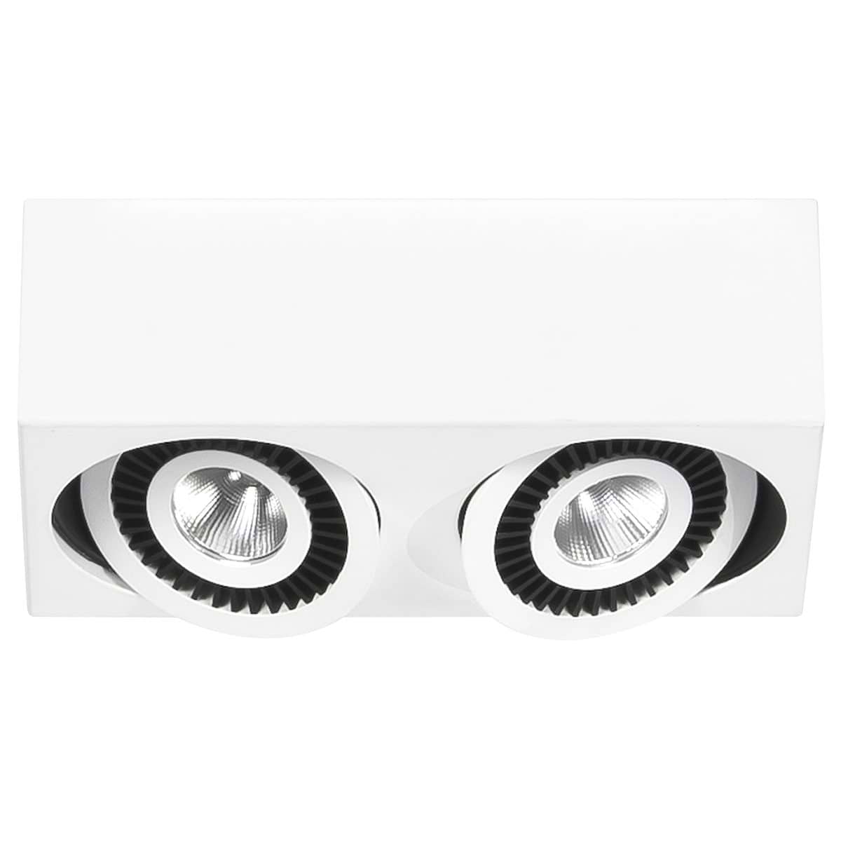 Spot Eye - plafondlamp met twee spots - 2 X 5W Rechthoek LED Mat Wit Dimbaar - Serie Eye - Spots - High Light - S742600