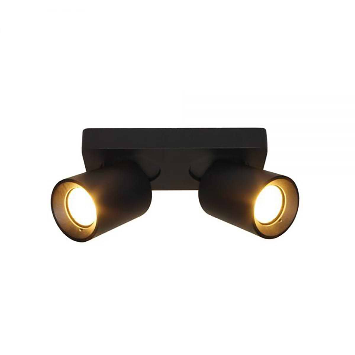 Plafondlamp en opbouwspotzwart 2-lichts "Megano" 20x10xH11