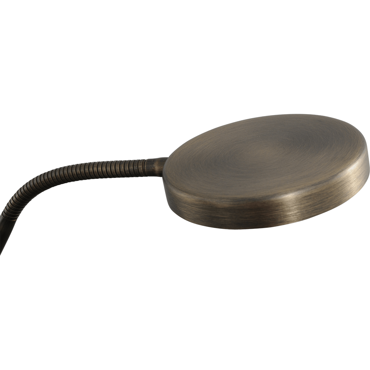 Vloerlamp Big Denia Flex - brons - hoogte 150 cm - max wattage 9 - 1400 lumen - 2700-2200 kelvin - inclusief push-dimmer - MASTERLIGHT