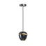 Moderne hanglamp 1-lichts