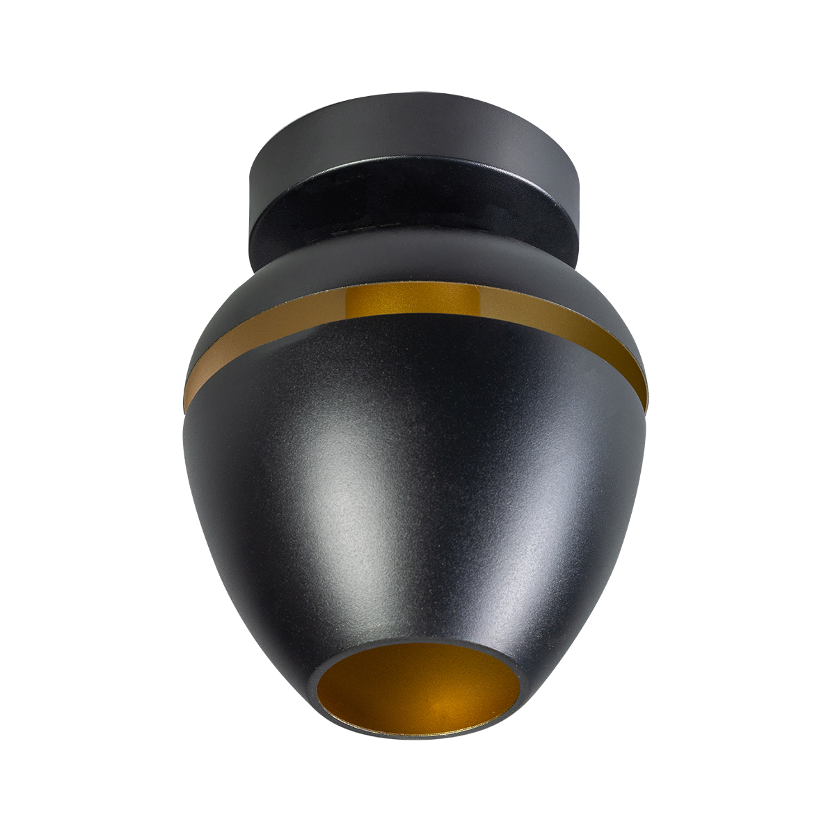 Moderne plafondlamp 1-lichts
