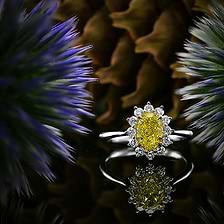Great Chrysanthemum Diamond | Leibish