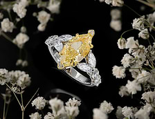 Types of Engagement Rings | Leibish