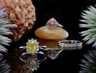 The Super Bowl Rings | Leibish