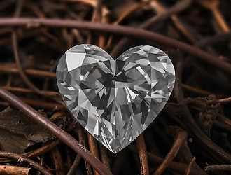 Who are the People of LEIBISH