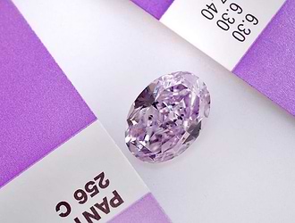 The Purple Orchid Diamond | Leibish
