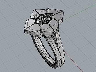 Working with the Rhino Images