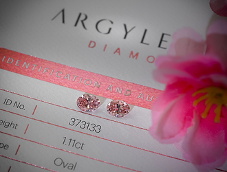 The End of an Era: The Closure of the Argyle Mine  | Leibish