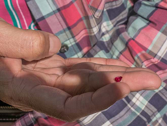 The King of Mogok | Leibish