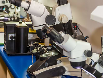 The Lab-Grown Diamond Debate | Leibish