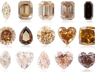 Chocolate, Golden, Chapagne, Cognac colored d