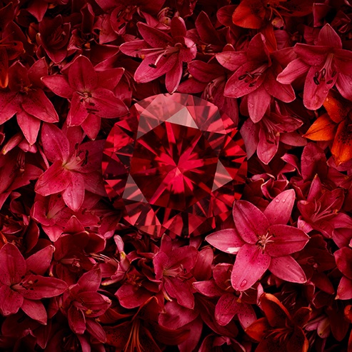 Leibish & Co. Red Diamonds