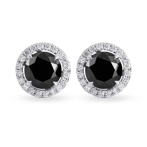 Fancy Black Round Brilliant Diamond Halo Earrings, SKU 223019 (2.85Ct TW)