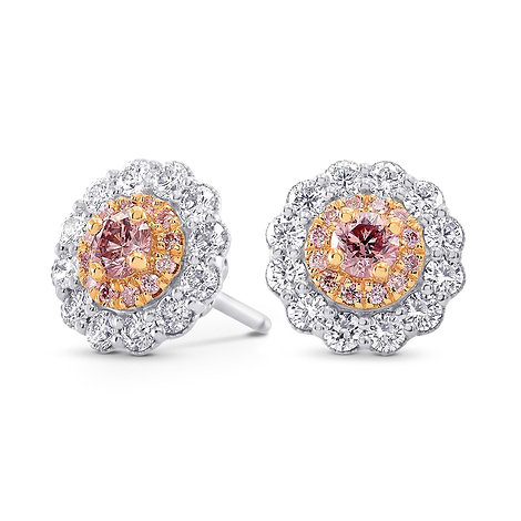 Argyle Fancy Pink Diamond Floral Halo Earrings (1.07Ct TW)