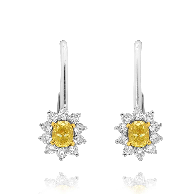 Fancy Intense Yellow Diamond Halo Drop Earrings