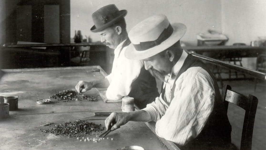 Sorting rough diamonds in the De Beers mine in the 19th century