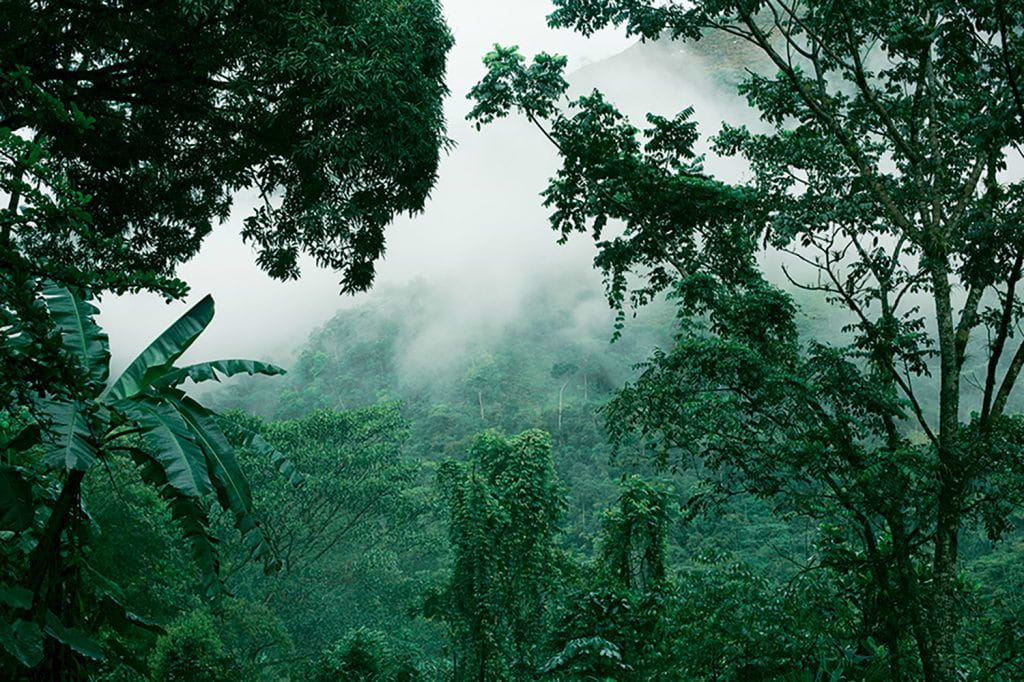 The Muzo mines in Colombia, where some of the world’s most valuable emeralds are mined