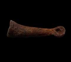 Anzu toe bone | Buried Treasure Fossils