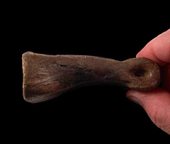 Juvenile Anzu toe bone | Buried Treasure Fossils