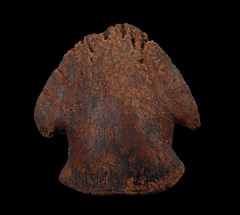 Large Edmontosaurus pes ungual for sale | Buried Treasure Fossils