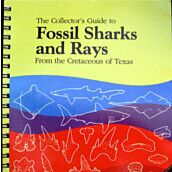 The Collector's Guide to Fossil Sharks and Rays  By  Welton & Farrish