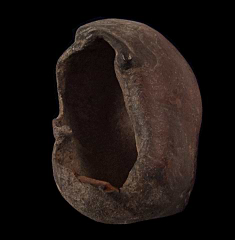 Whale Ear Bone - Georgia | Buried Treasure Fossils