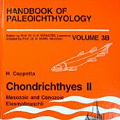 Handbook of Paleoichthyology - Volume 3B by Henri Cappetta
