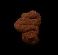 Real Coprolites for sale |: Buried Treasure Fossils