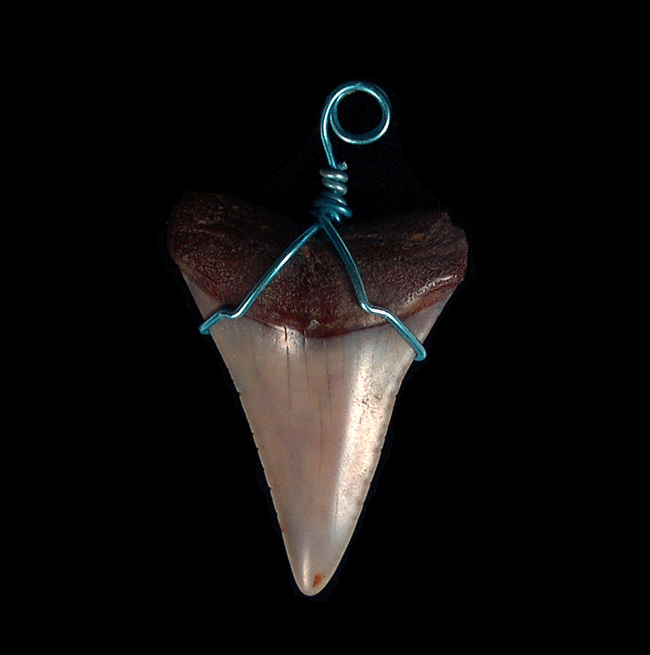 T. Rex Bone Inlay Necklace - Mini Museum