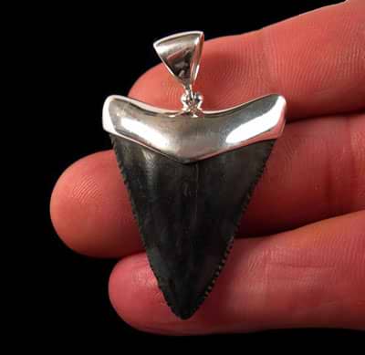 KALIFANO | Moroccan Fossil Shark Tooth Necklace: A Prehistoric Treasure