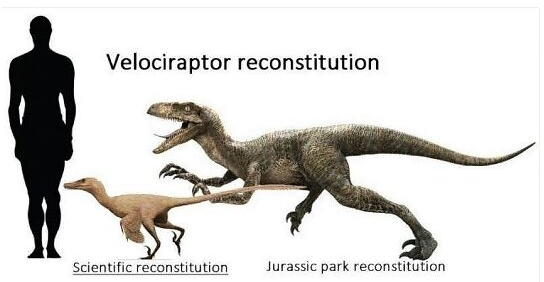 Velociraptors, In Reality, Didn’t Look As They Were Shown In The Jurassic Park Movie