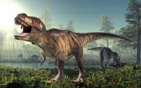4 Fascinating Facts about Tyrannosaur Rex You Aren’t Aware of